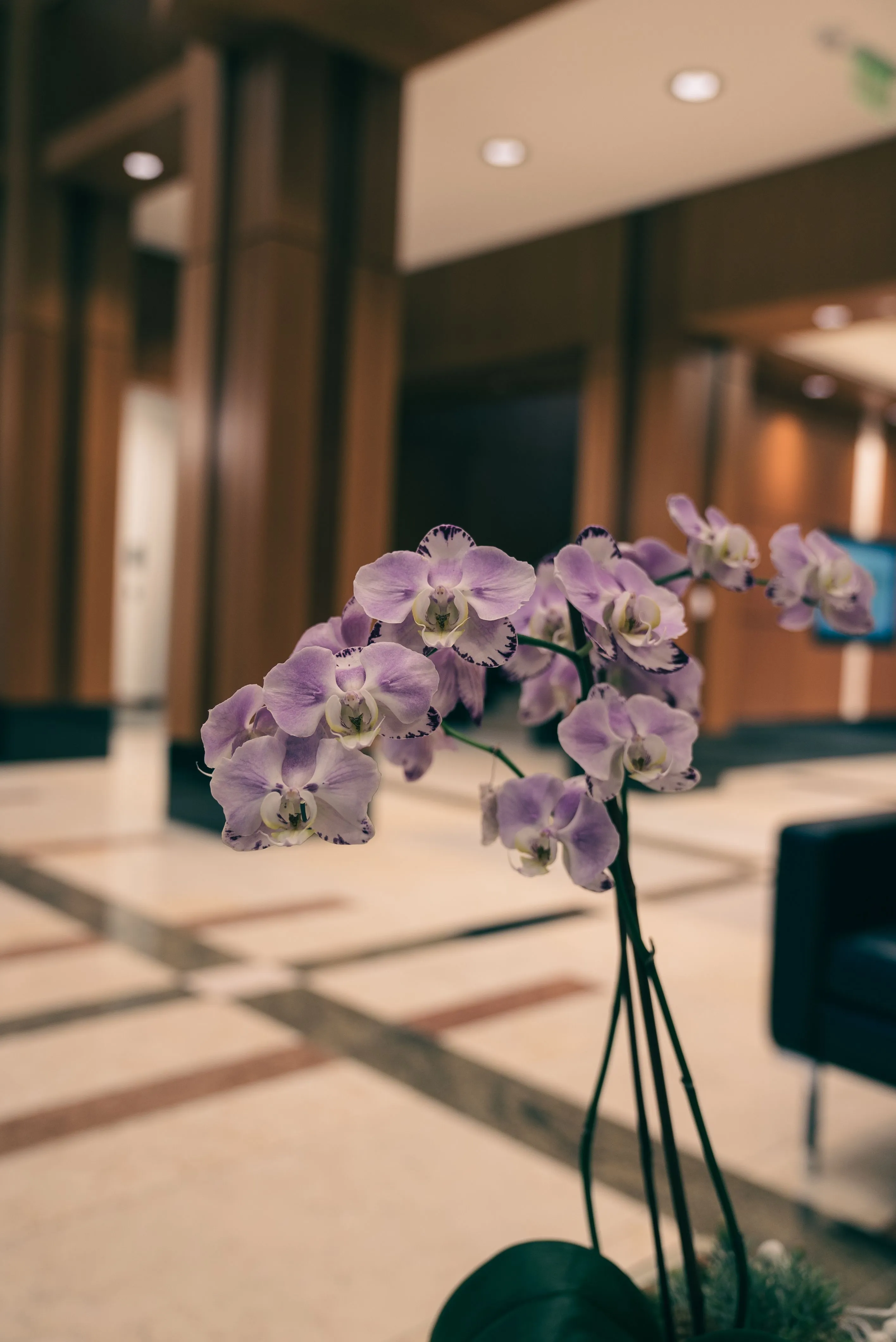 Exklusives Blumengeschäft in Deutschland - Hotel Lobby
