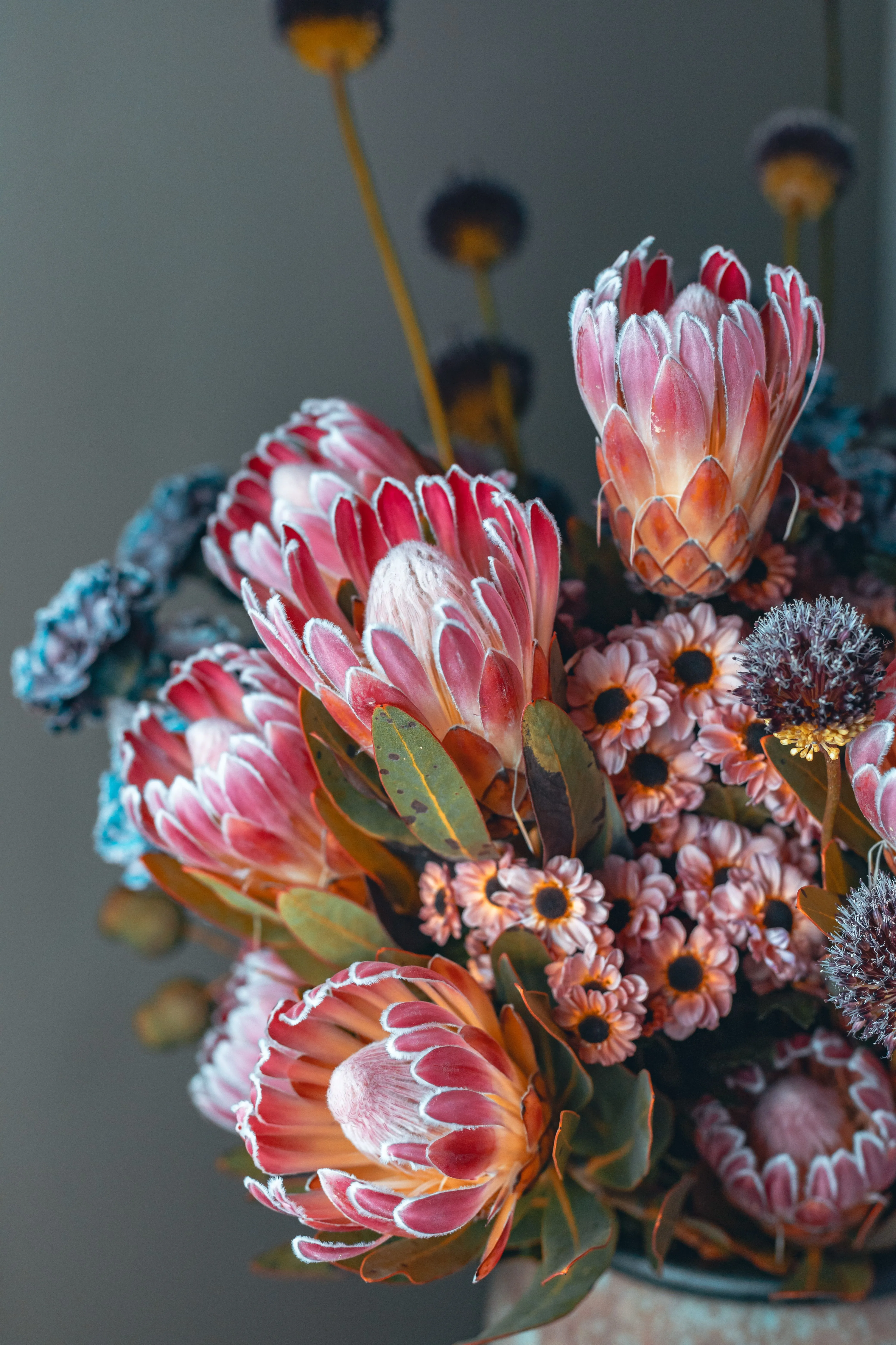 Protea Bouquet