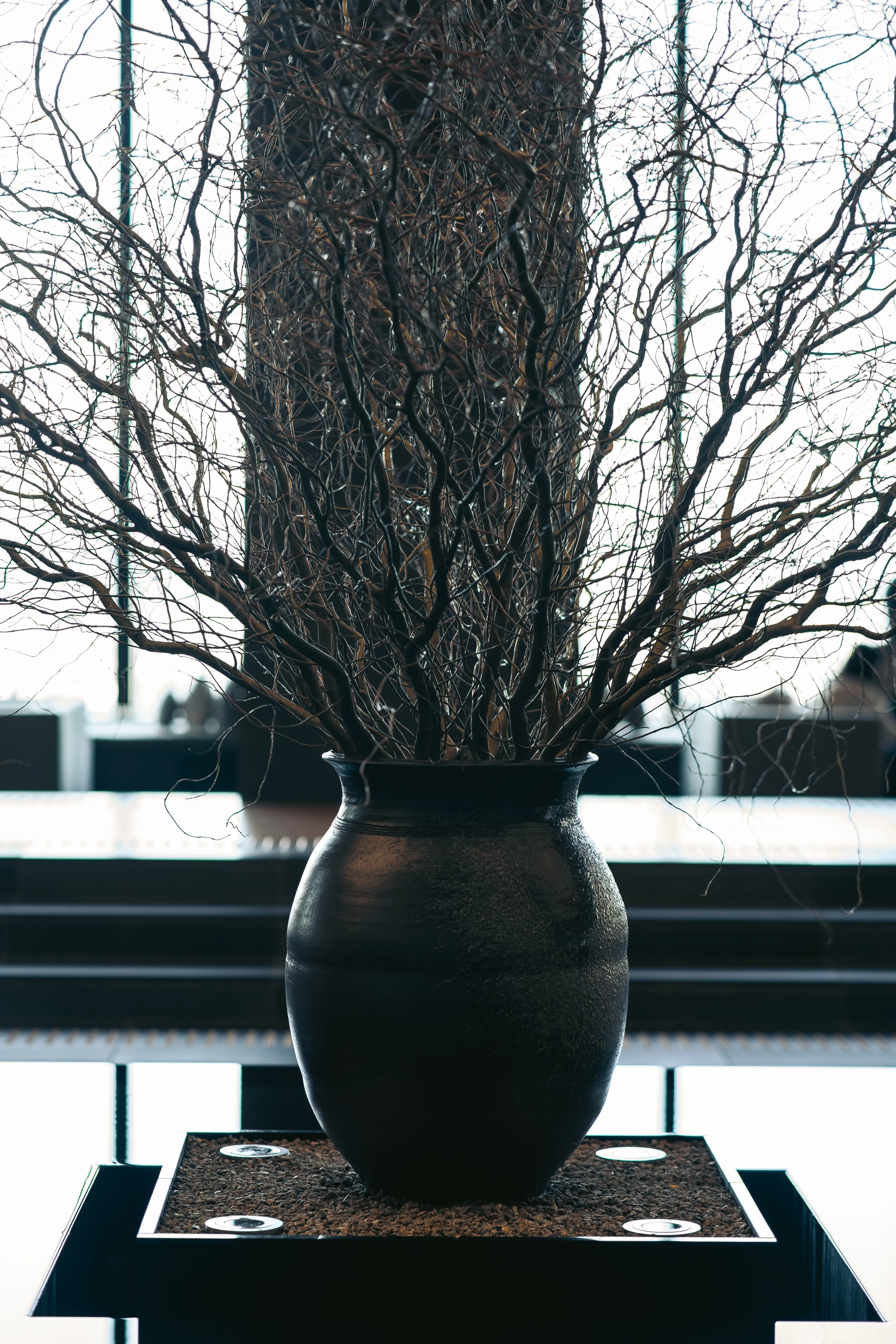 Botanische Kunst Berlin