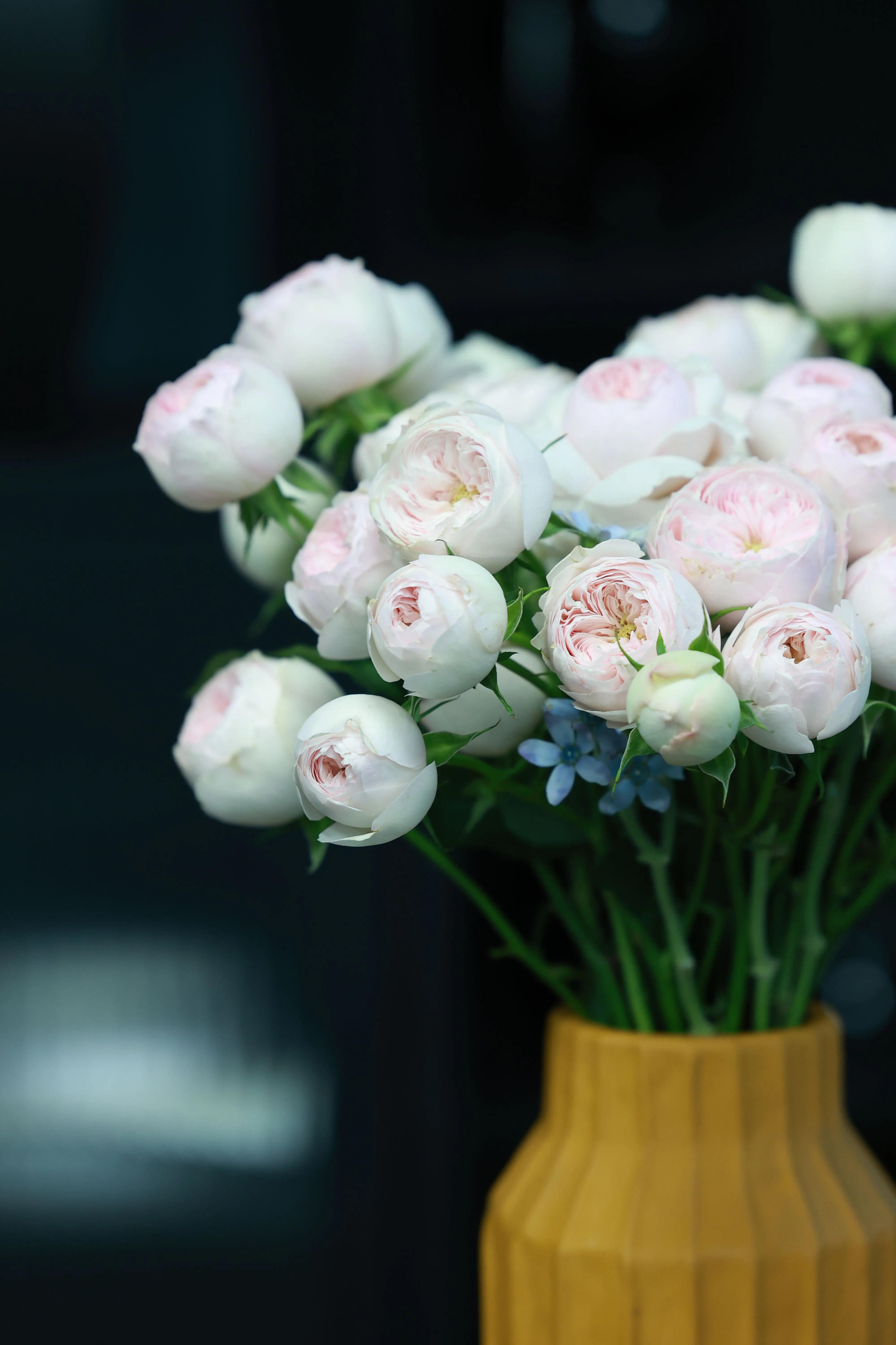 Corporate Floral Design Berlin