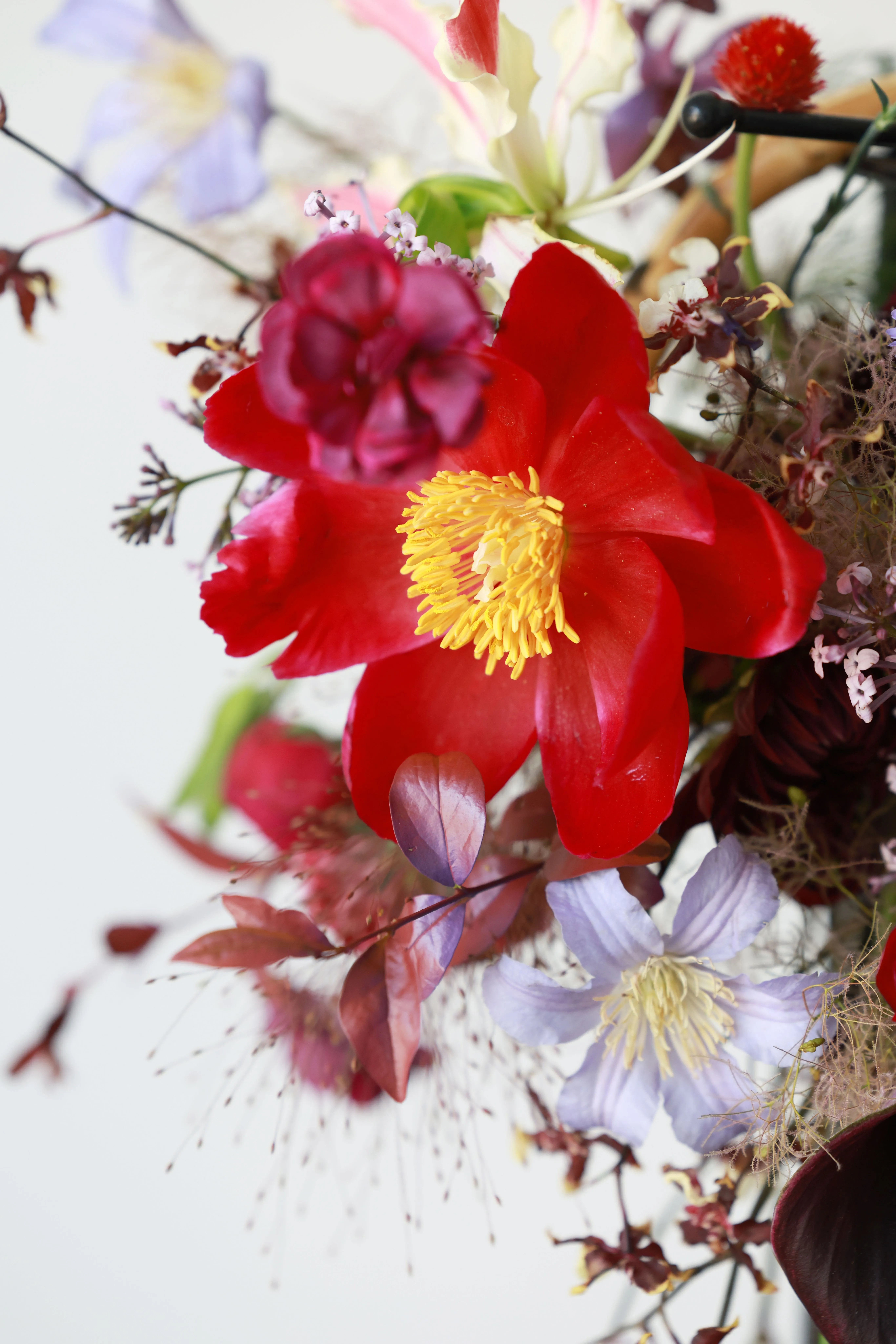Camellia Arrangement