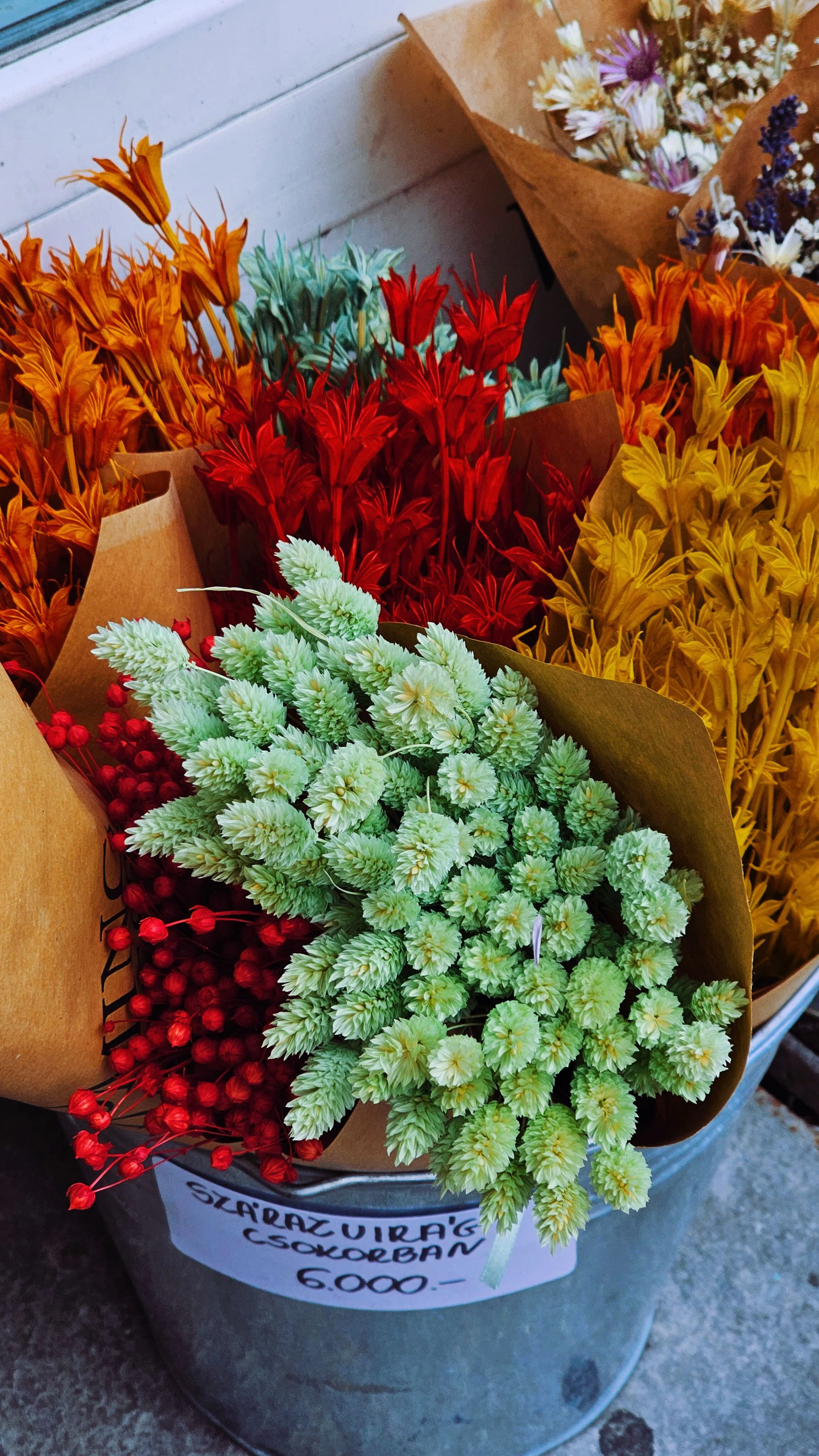 Autumn Colors