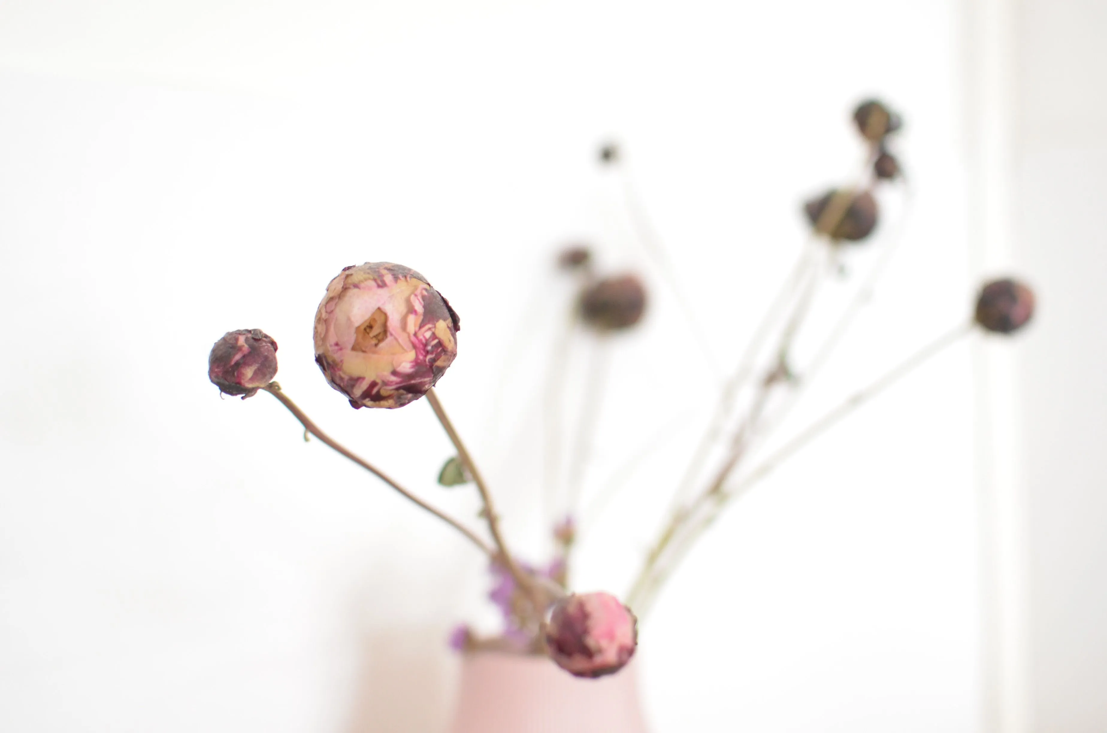 Vase mit Trockenblumen