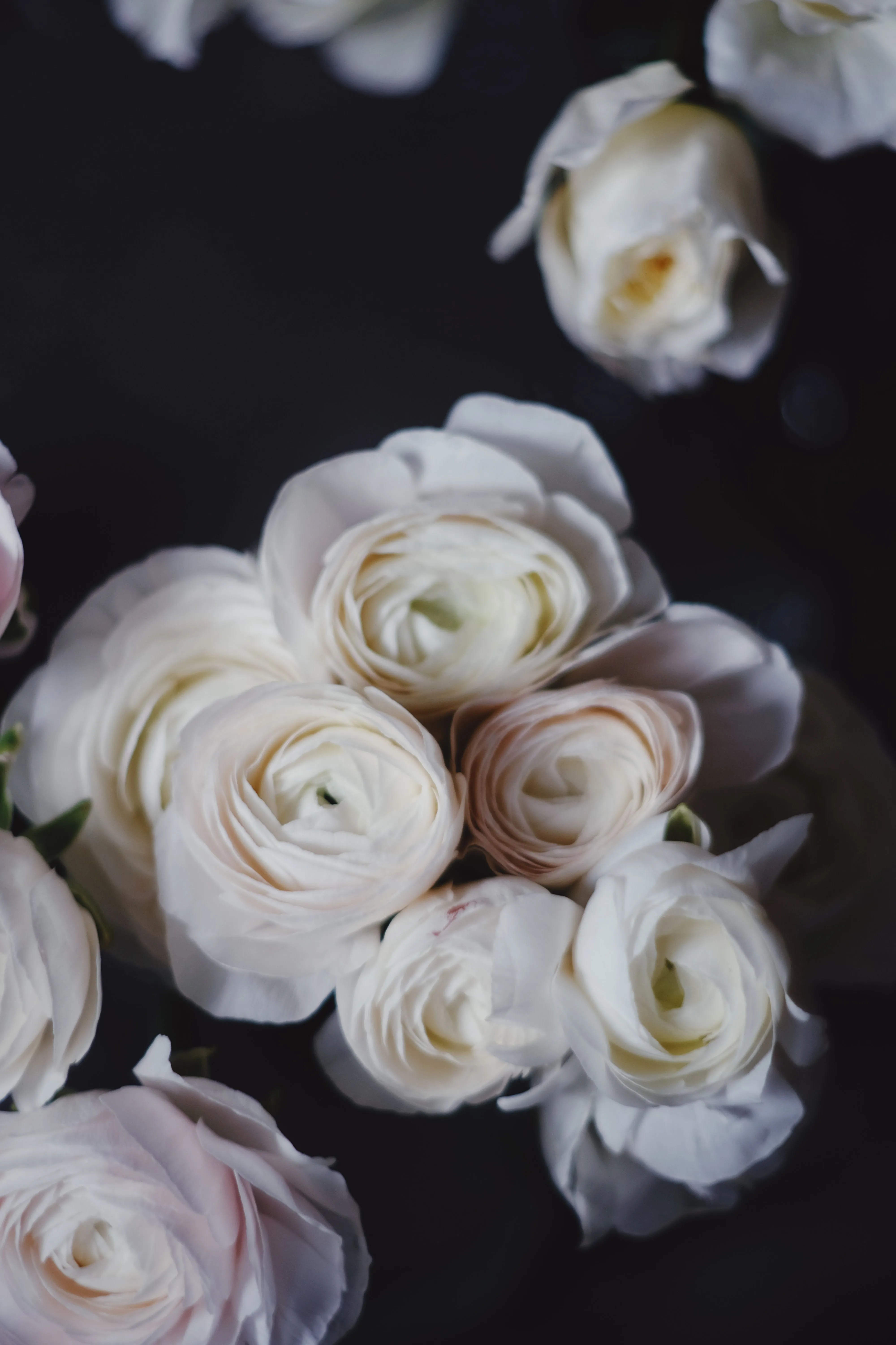 Luxury Wedding Flowers Germany