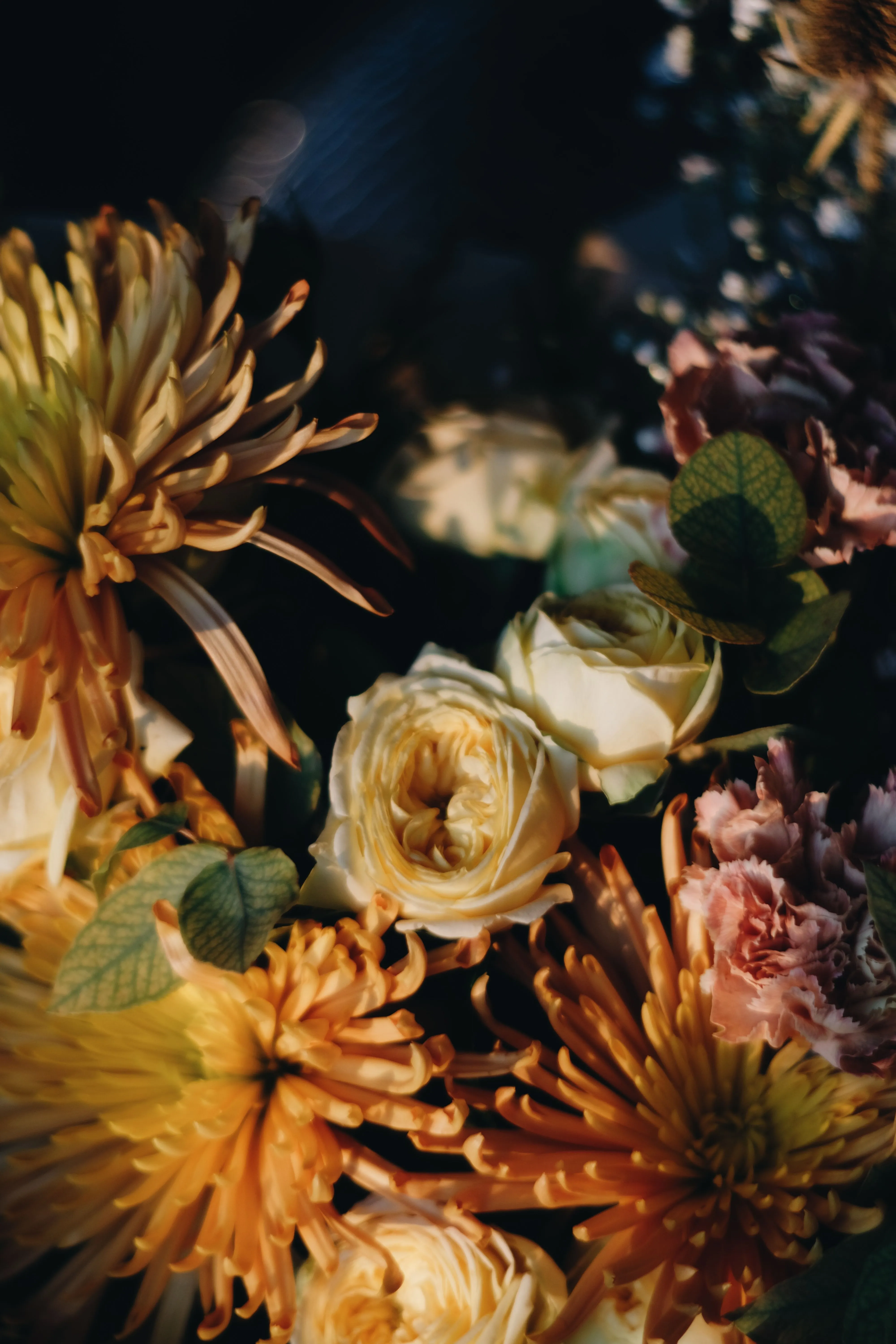 Dramatic Lighting Flowers