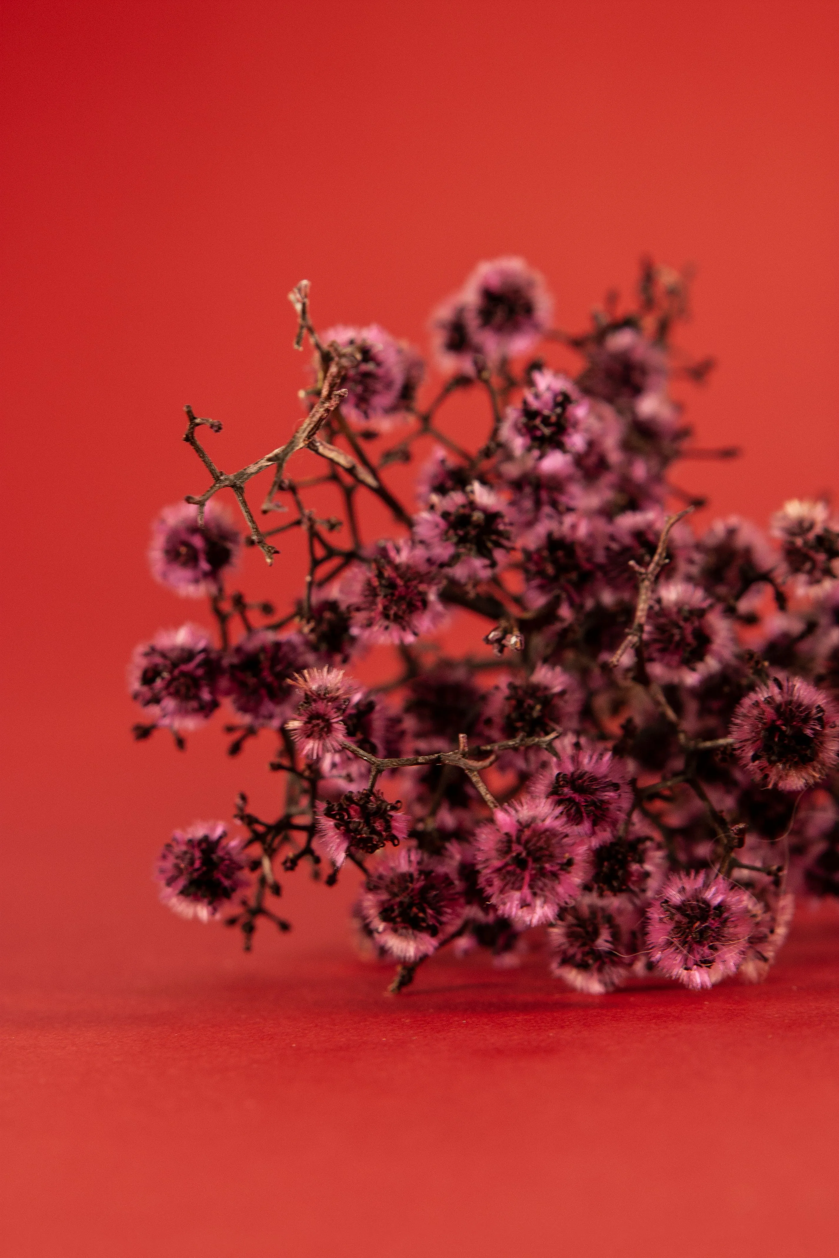 Trockenblumen Skulptur 1